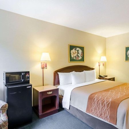 Comfort Inn & Suites Grundy エクステリア 写真